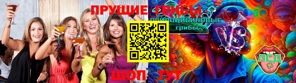 Котельники  купить наркоту  Вход с VPN  Галлюциногенные грибы мицелий 